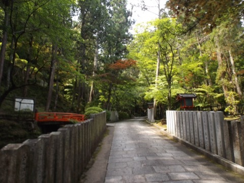 d0115985_09174076.jpeg