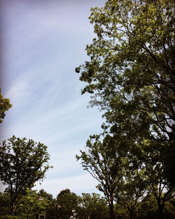 d0180285_22453233.jpeg