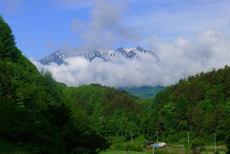 a0130586_9112224.jpg
