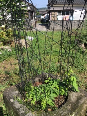 c0096287_11421348.jpeg