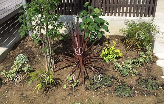 玄関前の植栽と現在の芝生の様子 シンプルで心地いい暮らし 玄関前の植栽と現在の芝生の様子 シンプルで心地いい暮らし