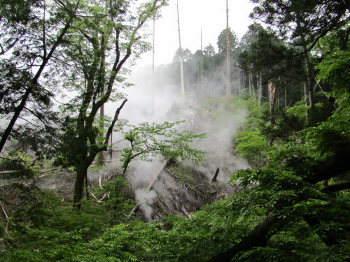 霧の芦ノ湖_c0369492_12201038.jpg