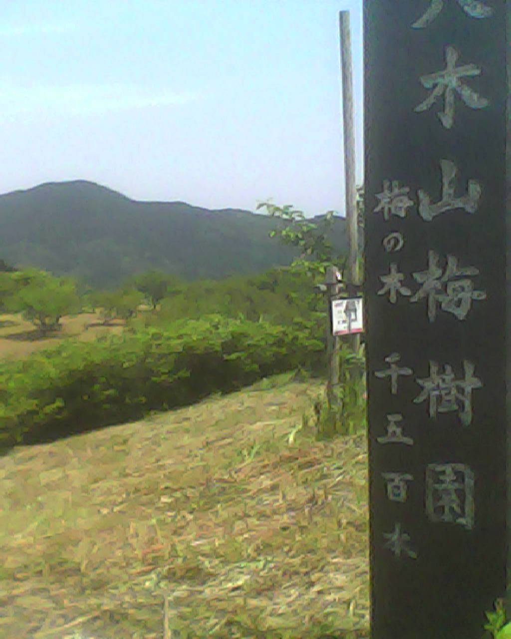 a0335493_20030445.jpg