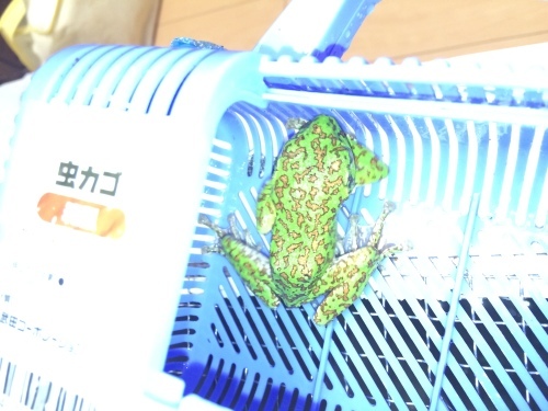 a0337794_11563592.jpeg