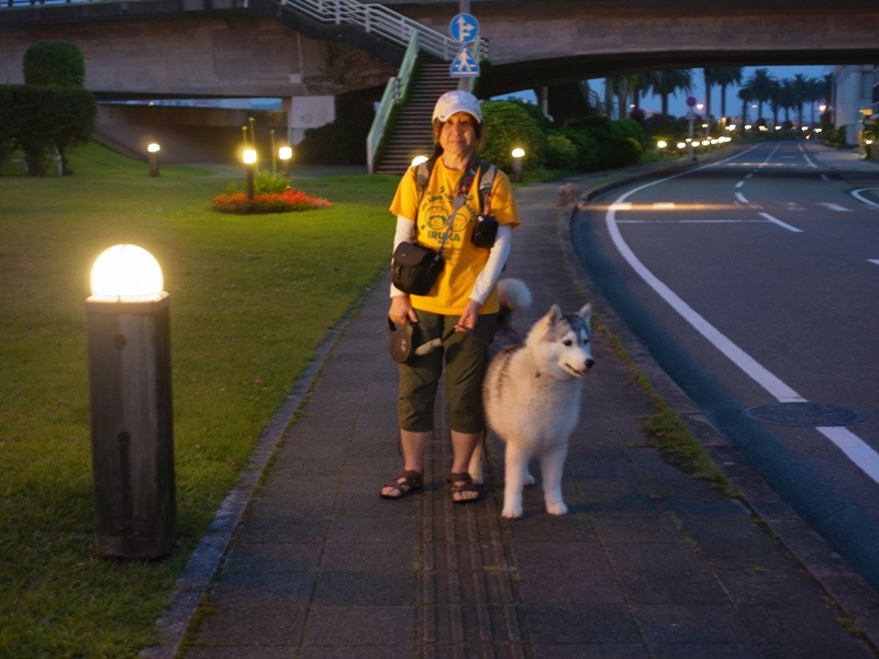 猫と紫陽花の日々 (*^_^*)_c0049299_21335713.jpg