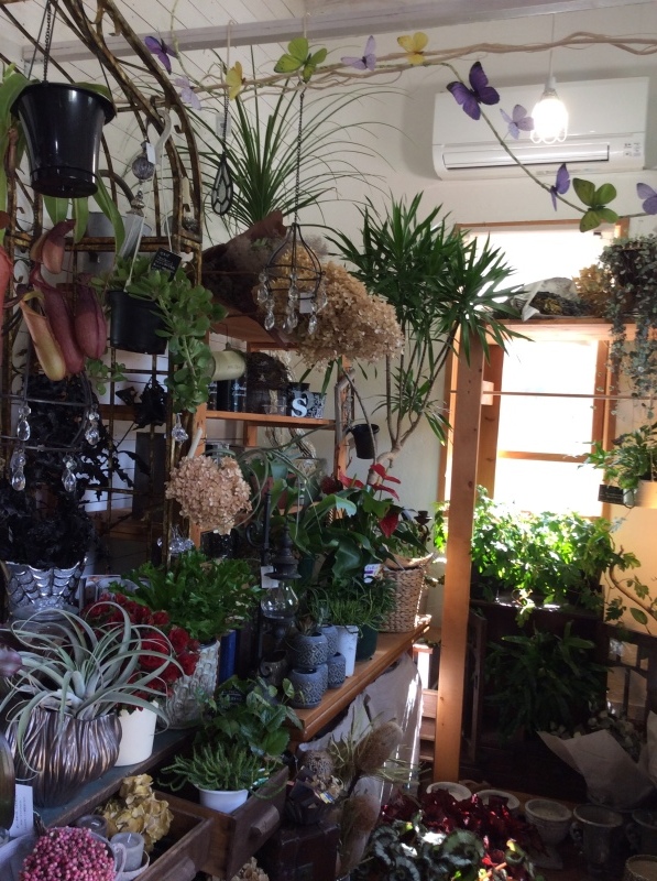 b0220002_20222196.jpeg