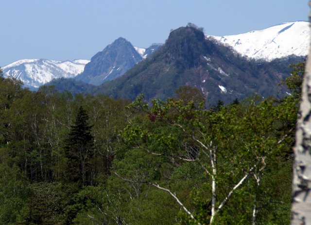 2016年5月22日(日)　　砥石山（標高826ｍ）中の沢口_a0345007_10281619.jpg