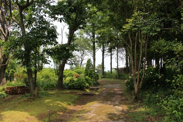 c0178009_21455189.jpg