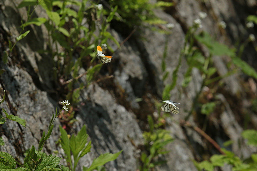 b0315912_00543189.jpg
