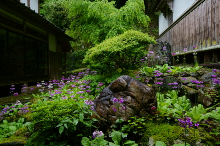 古知谷阿弥陀寺_e0177413_19534850.jpg