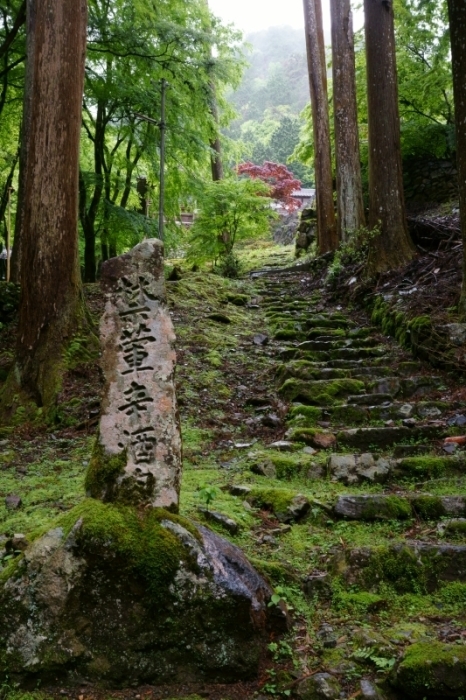 古知谷阿弥陀寺_e0177413_19543592.jpg