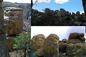 a0177314_12591767.jpg