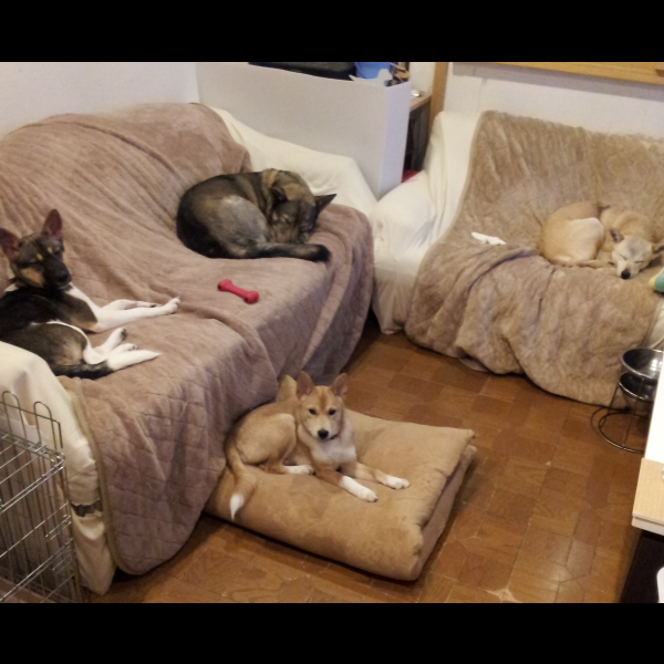 b0207320_13513636.png