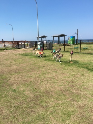 b0207320_13521846.jpeg