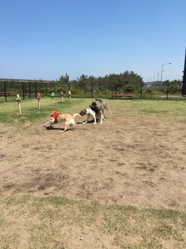 b0207320_13524826.jpeg