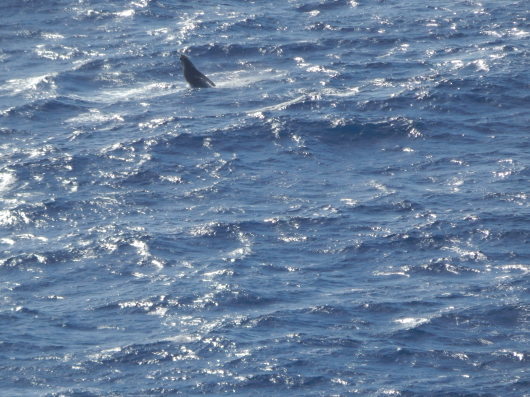 b0368324_07344572.jpg