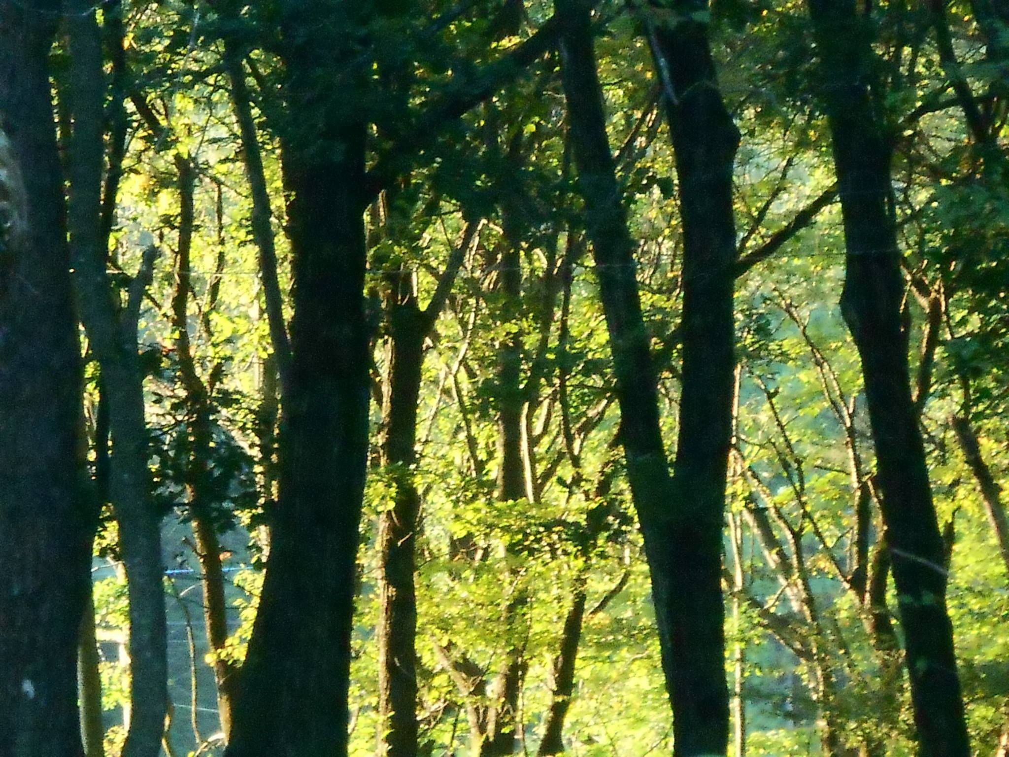 b0240027_14275796.jpg