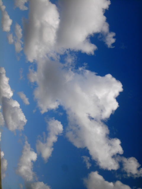 新潟の空_b0204930_854497.jpg