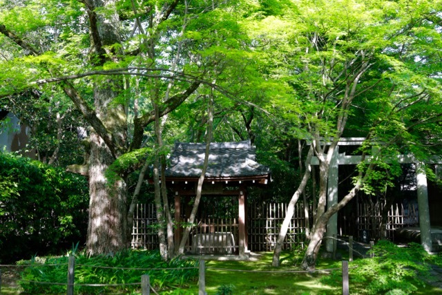 f0348831_07034645.jpg