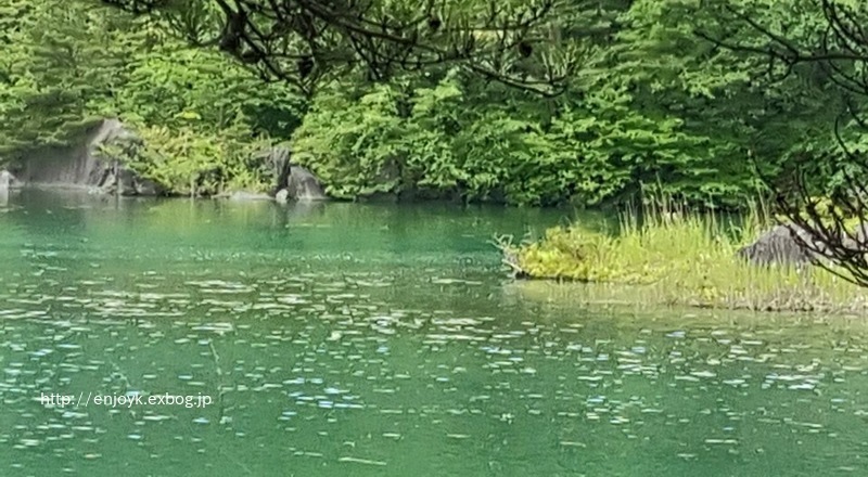 d0269832_07303401.jpeg