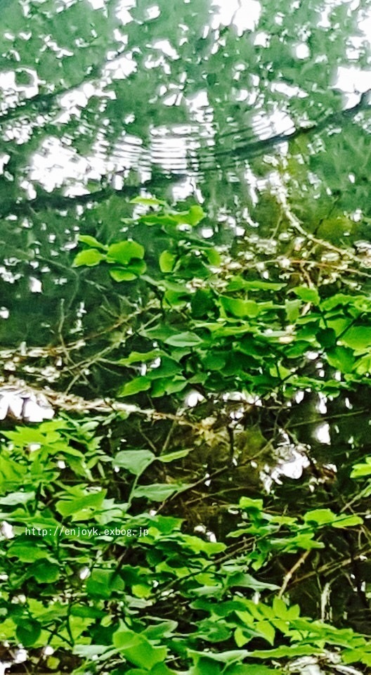 d0269832_07305095.jpeg