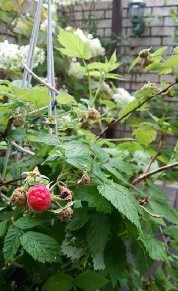 f0002833_16392276.jpg