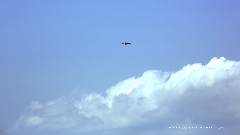 春過ぎて 夏きたるらし Ji5isl Photo 春過ぎて 夏きたるらし Ji5isl Photo