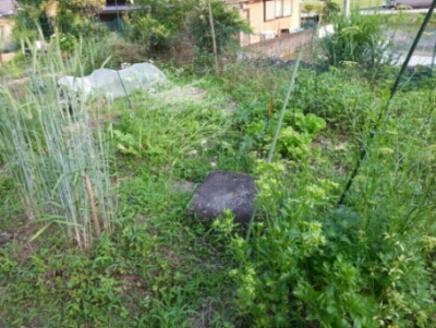 c0330749_21390890.jpg