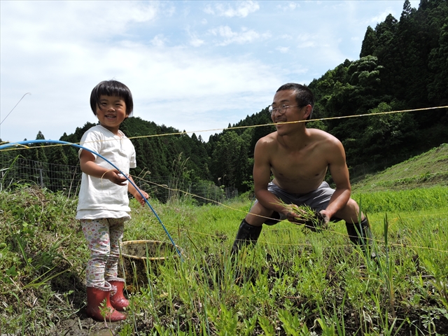 田植え始まりました。来てね～。ホタルも飛んでます_d0256051_226738.jpg