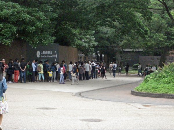 上野動物園の混雑状況 土日はどうなってるの 動物園のど