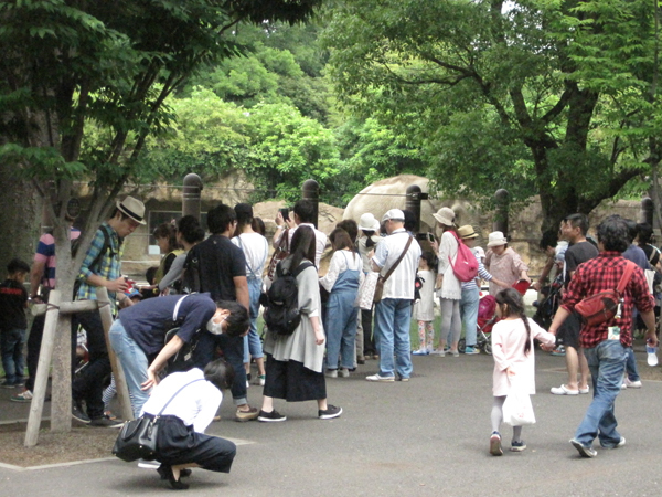 上野動物園の混雑状況 土日はどうなってるの 動物園のど