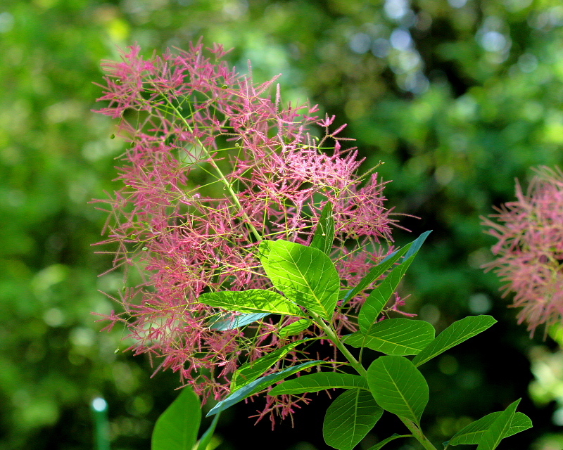 c0305565_18051520.jpg