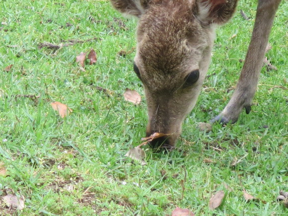 c0001670_20152776.jpg