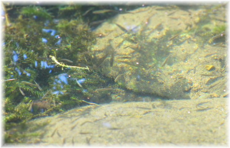 水の都・・・♪_d0175974_16125039.jpg
