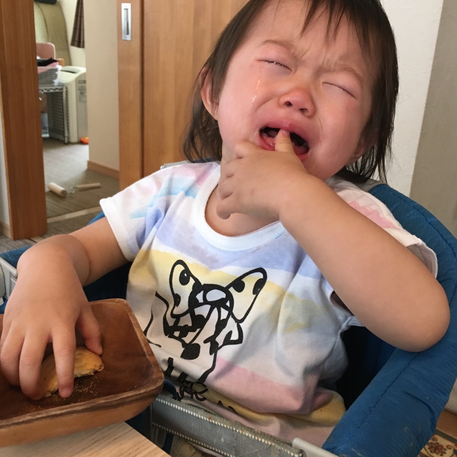 d0041575_19513446.jpeg