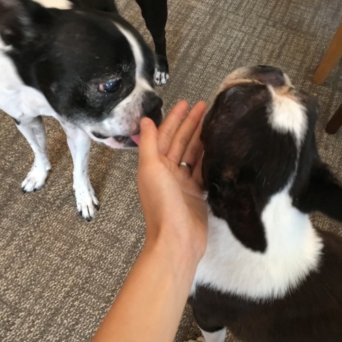 d0041575_19562632.jpeg