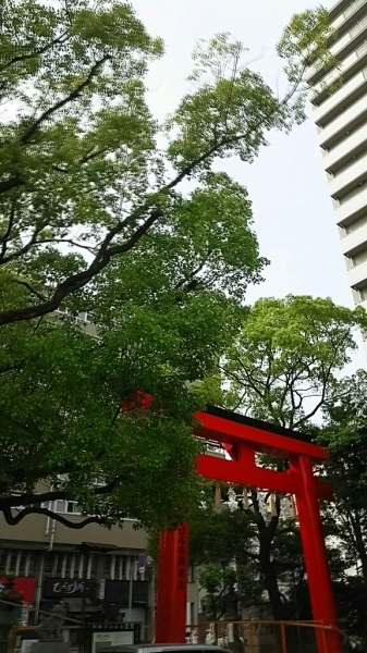 f0152875_08481520.jpg