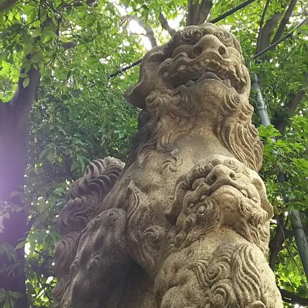 f0152875_08483837.jpg