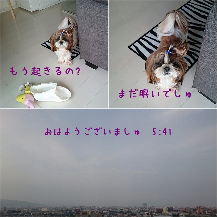 c0363378_16053902.jpg