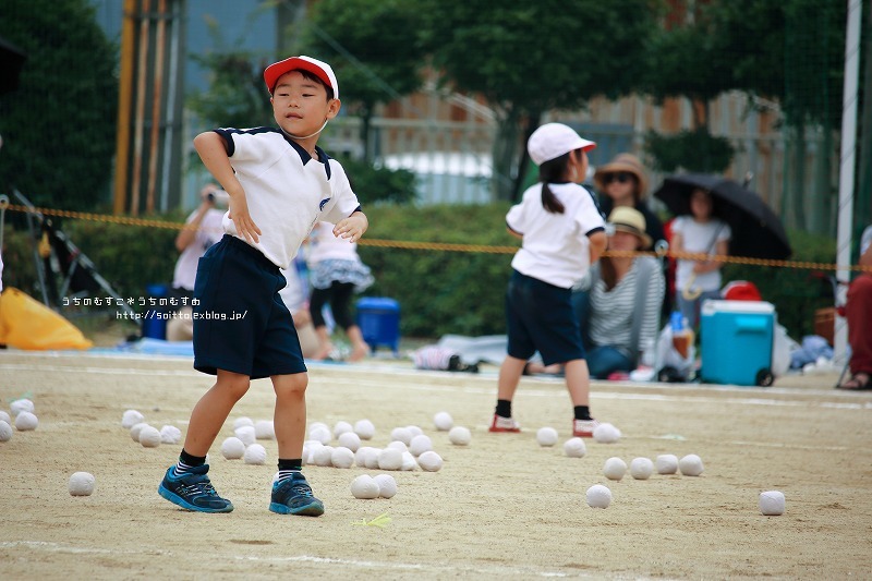 チェッコリ玉入れ うちのむすこ うちのむすめ