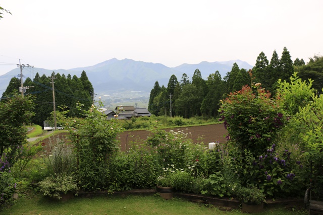 a0123003_23231360.jpg