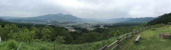 a0123003_2345460.jpg