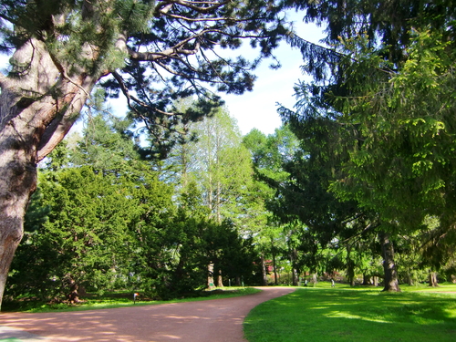 c0219820_23402745.jpg