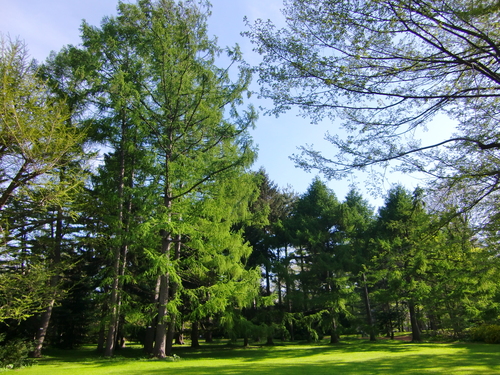 c0219820_23403455.jpg