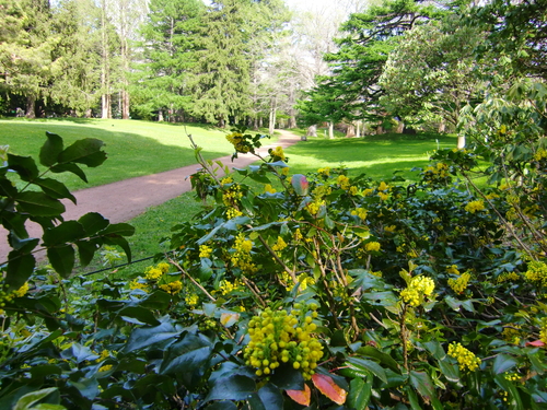 c0219820_2341459.jpg
