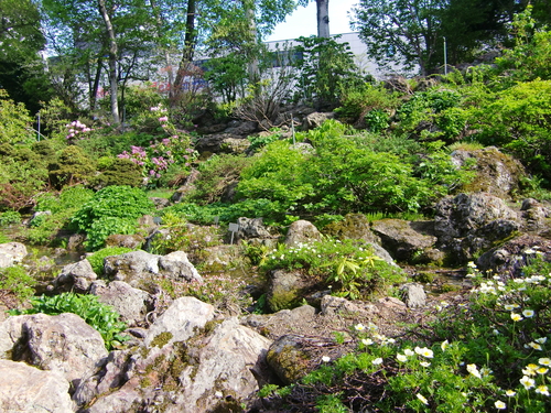 c0219820_2341630.jpg