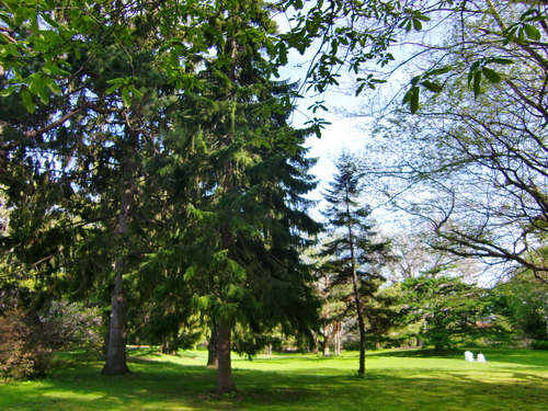 c0219820_2342292.jpg