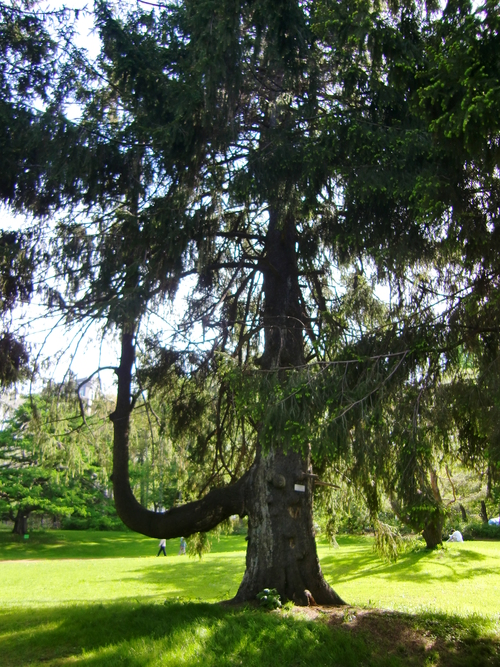c0219820_23433330.jpg