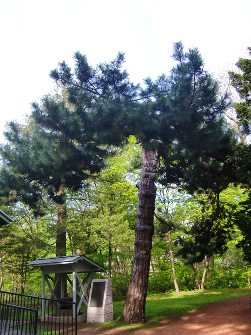 c0219820_23435752.jpg