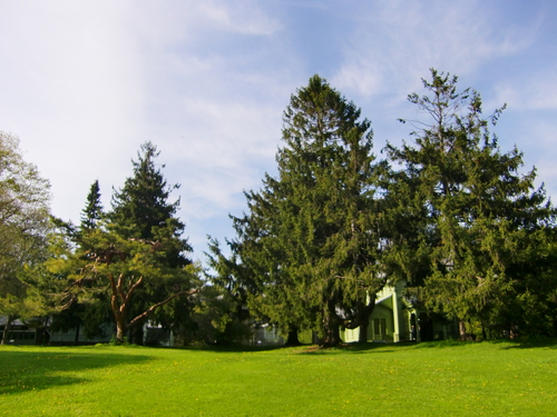 c0219820_23451343.jpg